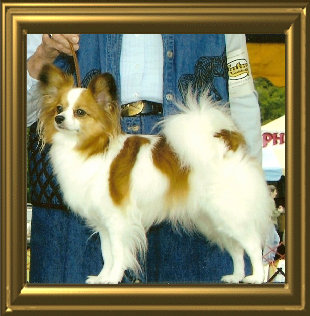 papwebsite003025.jpg